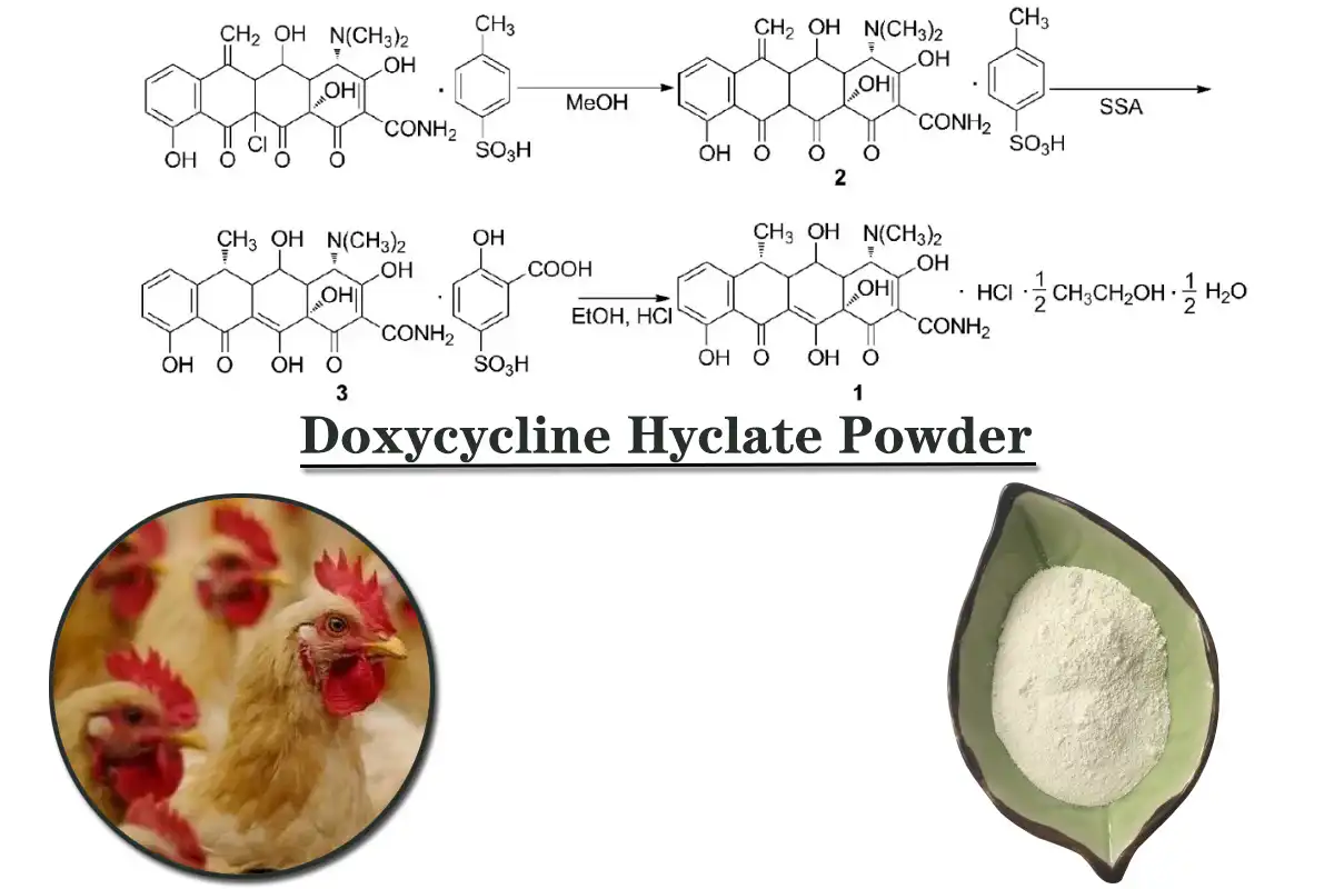 Doxycycline Hyclate Powder Facory.jpg